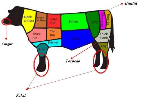 Seputar sapi dan bisnis sapi Msukirno s Blog